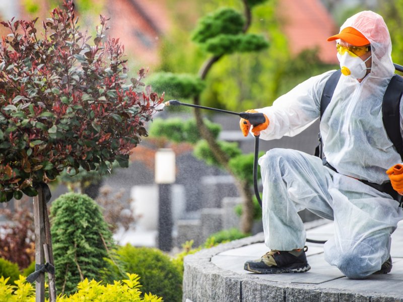 Sulakyurt Haşere İlaçlama